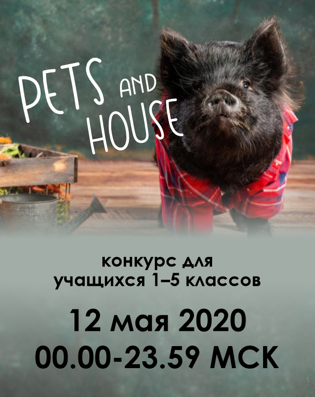 Pets and house